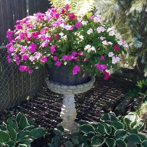 Meet your Posher, Lori